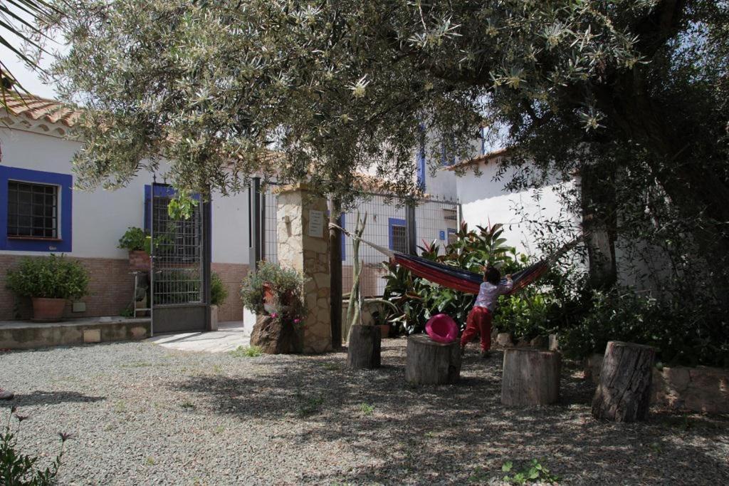 Casa Rural La Noria La Escucha ภายนอก รูปภาพ