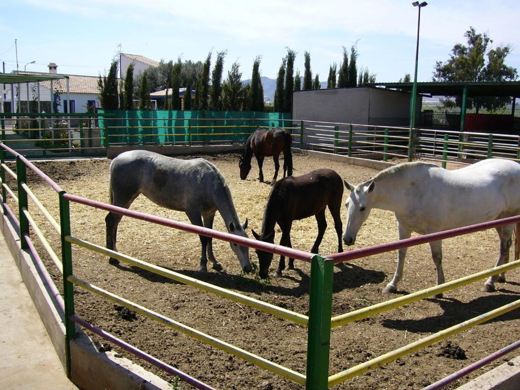 Casa Rural La Noria La Escucha ภายนอก รูปภาพ